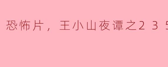 夜幕降临：深入王小山夜谭之2359的恐怖世界