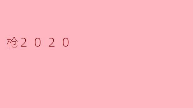 枪2020