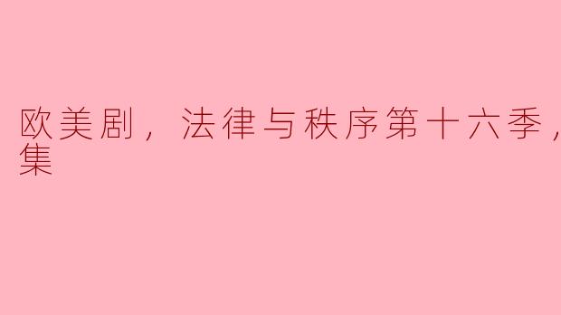欧美剧，法律与秩序第十六季，全22集