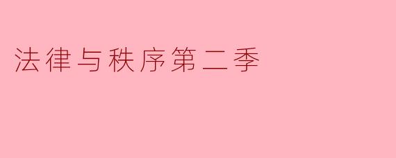 法律与秩序第二季