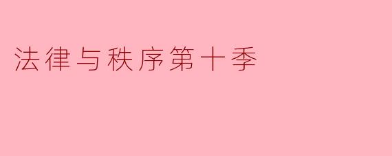 《法律与秩序第十季:法庭内外的激烈对抗》