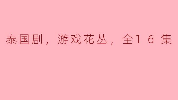 泰国剧，游戏花丛，全16集