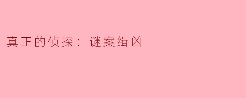 ### 真正的侦探：谜案缉凶