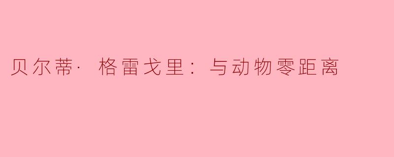 贝尔蒂·格雷戈里：与动物零距离