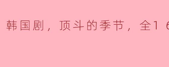 韩国剧，顶斗的季节，全16集