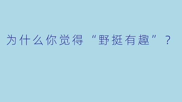 为什么你觉得“野挺有趣”？