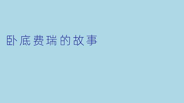 卧底费瑞的故事