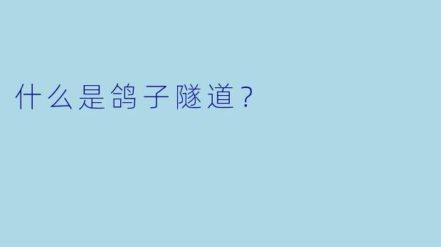 什么是鸽子隧道？