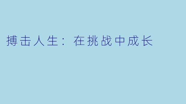 搏击人生:在挑战中成长