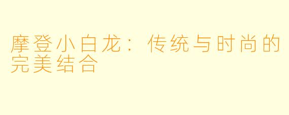 摩登小白龙：传统与时尚的完美结合