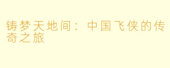铸梦天地间：中国飞侠的传奇之旅