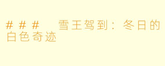 ### 雪王驾到：冬日的白色奇迹