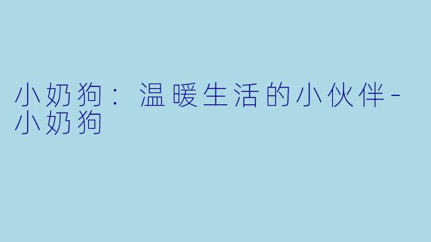 小奶狗：温暖生活的小伙伴-小奶狗