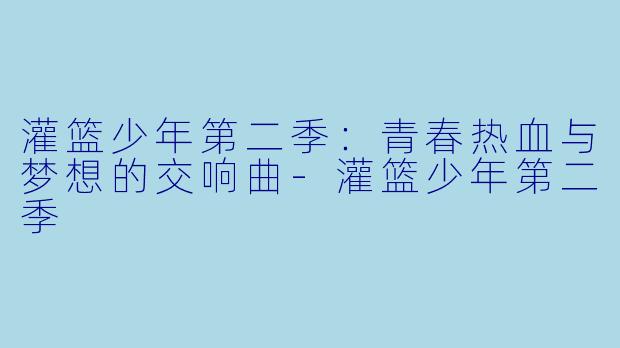 灌篮少年第二季：青春热血与梦想的交响曲