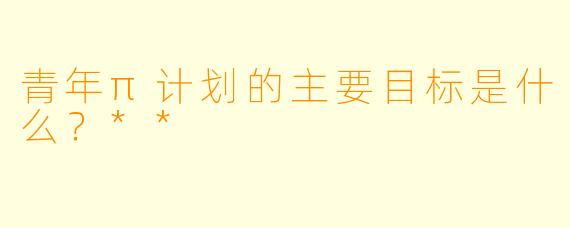青年π计划的主要目标是什么？**