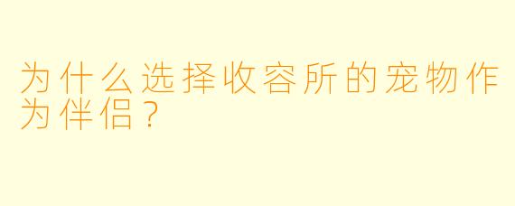 为什么选择收容所的宠物作为伴侣？