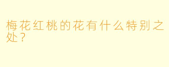 梅花红桃的花有什么特别之处？