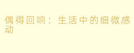 偶得回响：生活中的细微感动