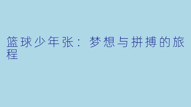 篮球少年张：梦想与拼搏的旅程