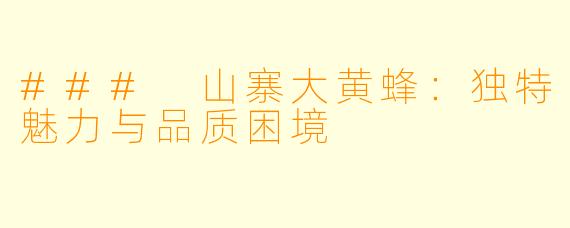 ### 山寨大黄蜂：独特魅力与品质困境