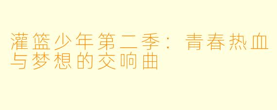 灌篮少年第二季：青春热血与梦想的交响曲