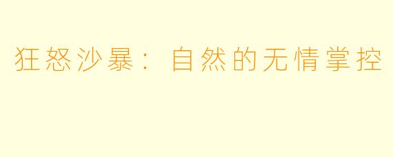狂怒沙暴：自然的无情掌控