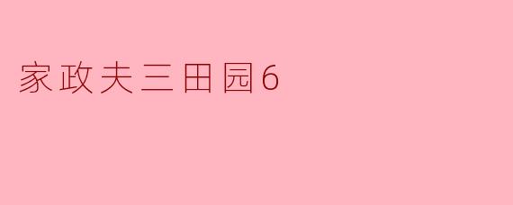 家政夫三田园第六季：生活的温暖与感动