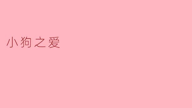 小狗之爱