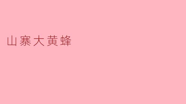山寨大黄蜂