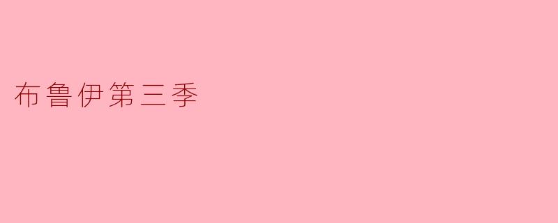 布鲁伊第三季