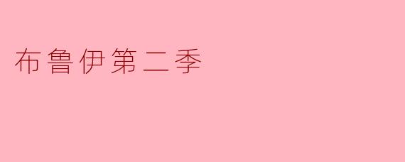 布鲁伊第二季