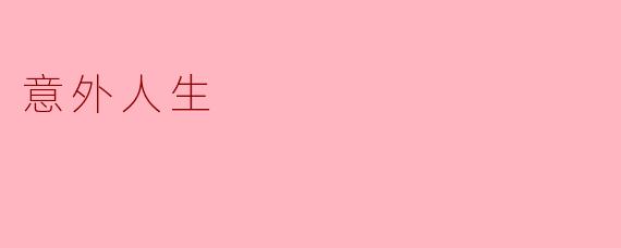 意外人生