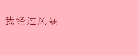 我经过风暴