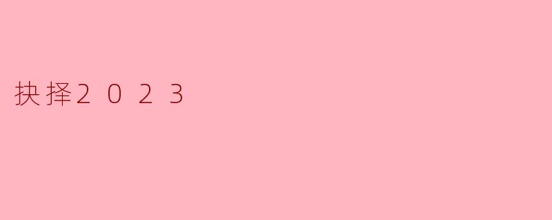 抉择2023