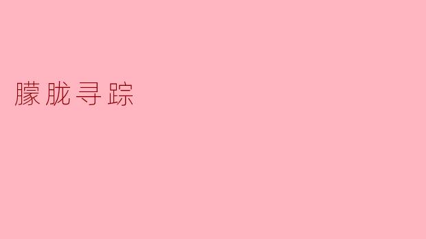 朦胧寻踪：在迷雾中探寻自我