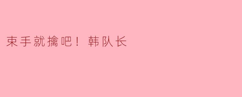 束手就擒吧！韩队长