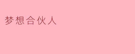 梦想合伙人