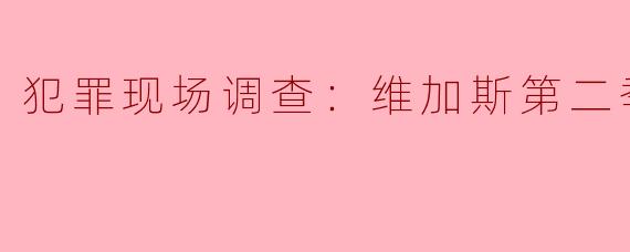 犯罪现场调查：维加斯第二季
