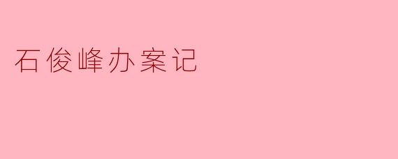 石俊峰办案记