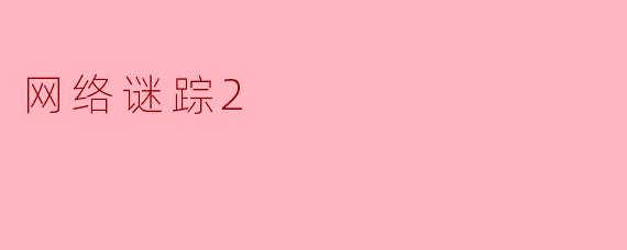 电影《网络谜踪2》讲述了怎样的故事？