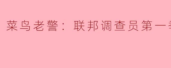 菜鸟老警：联邦调查员第一季