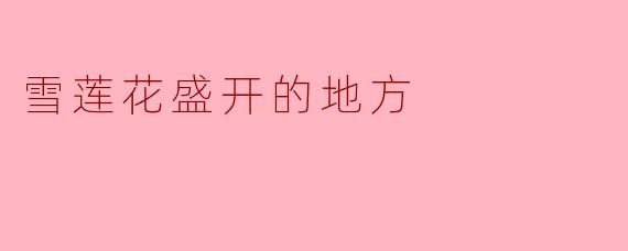 雪莲花盛开的地方