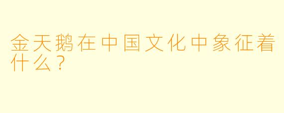 金天鹅在中国文化中象征着什么？
