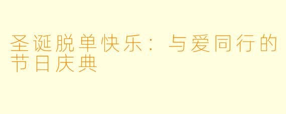 圣诞脱单快乐：与爱同行的节日庆典