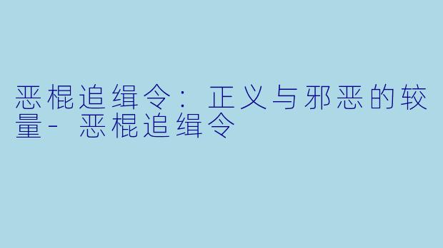 恶棍追缉令：正义与邪恶的较量