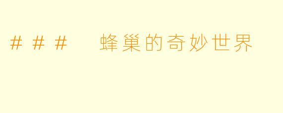 ### 蜂巢的奇妙世界