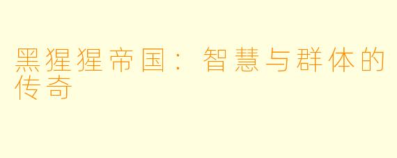 黑猩猩帝国：智慧与群体的传奇