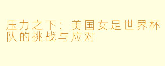 压力之下：美国女足世界杯队的挑战与应对