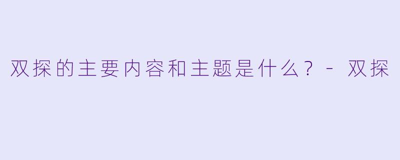 双探的主要内容和主题是什么？