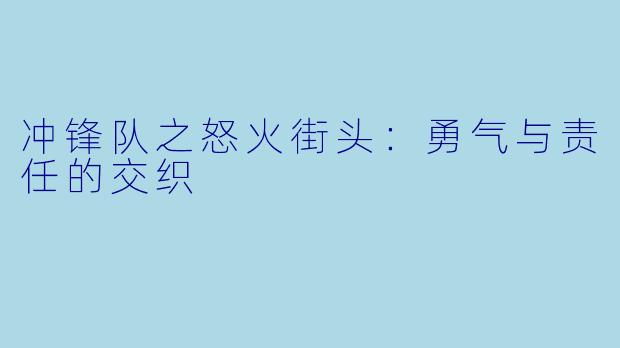 冲锋队之怒火街头:勇气与责任的交织